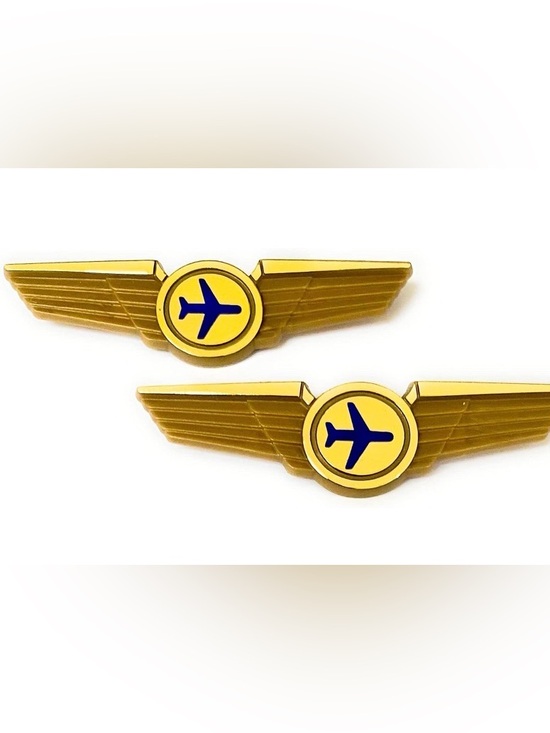 Other - Pilot Wings Plastic Pins Pinbacks Badges Lot of 2